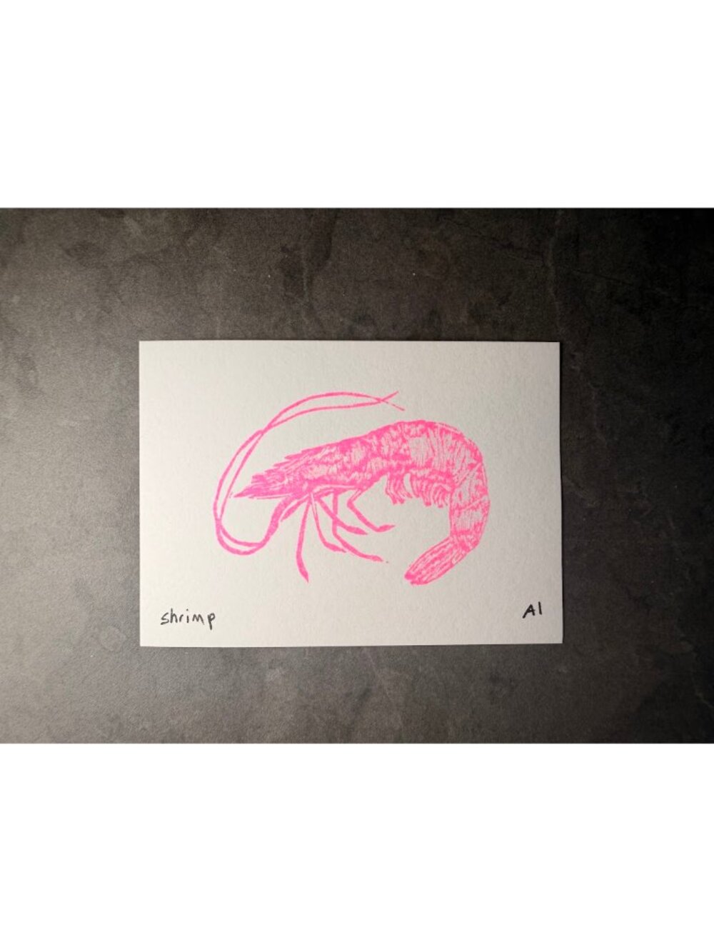 Ana Inciardi Shrimp Mini Art Print